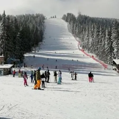 Edelweiss Mountain - Stream & Pool, Апартамент Пампорово