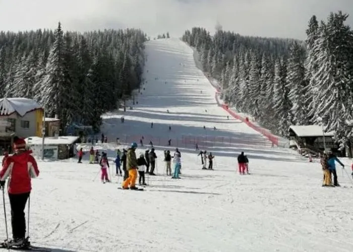 Edelweiss Mountain - Stream & Pool, Apartamento Pamporovo